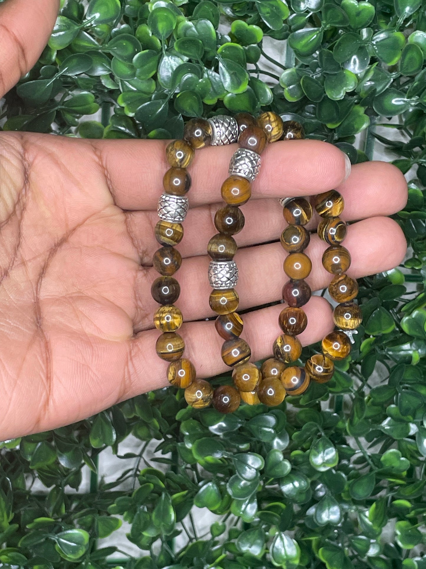 Men tiger eyes set